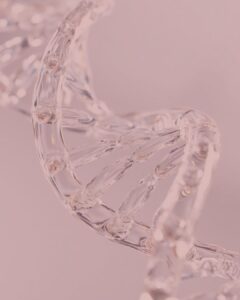 Banners (4)